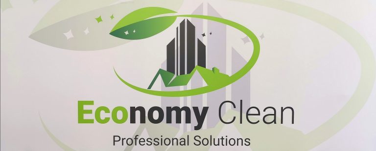 Economy Solutions Head Logo